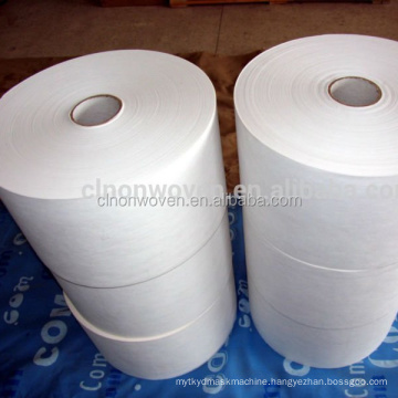 PLA biodegradable fabric( CL0101)